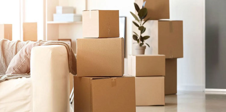 Local Shifting Services 